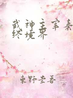 武神主宰秦尘最终境界
