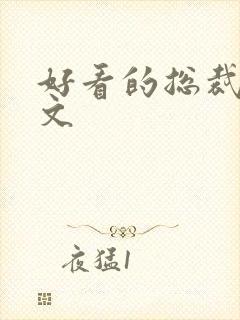 好看的总裁小说文