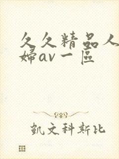 久久精品人妻少妇av一区