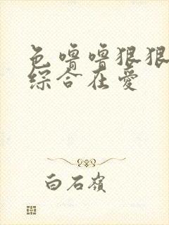 色噜噜狠狠亚洲综合在爱