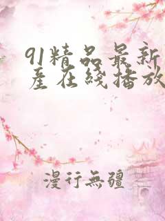 91精品最新国产在线播放