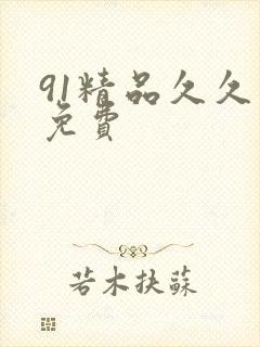 91精品久久久免费