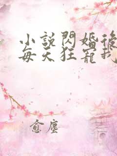 小说闪婚后大叔每天狂宠我免费阅读