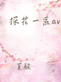 探花一区av