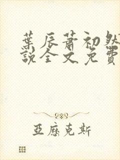 叶辰萧初然的小说全文免费阅读