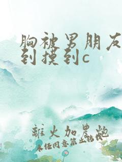 胸被男朋友从a到摸到c