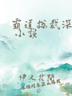 霸道总裁深深爱 小说