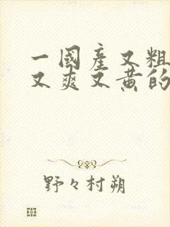 一国产又粗又猛又爽又黄的视频