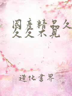 国产精品久久久久久不见