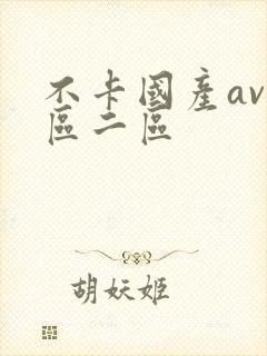 不卡国产av一区二区