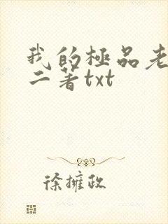我的极品老婆小二著txt