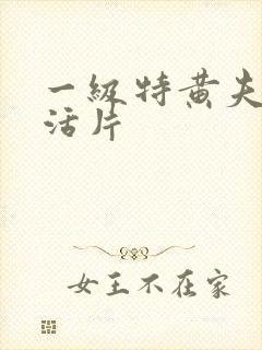 一级特黄夫妻生活片