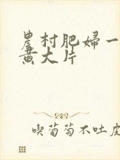 农村肥妇一级特黄大片