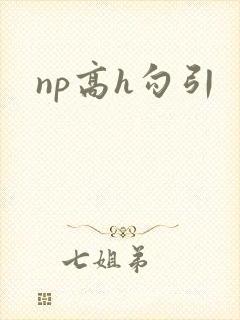 np高h勾引
