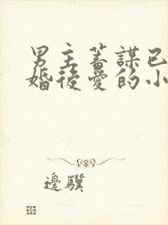 男主蓄谋已久先婚后爱的小甜文