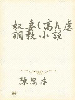 奴妻(高h虐身调教小说