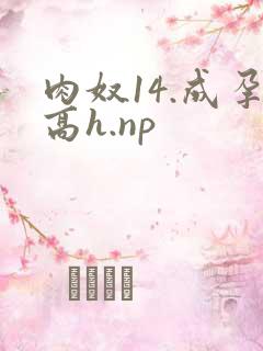肉奴14.成孕高h.np