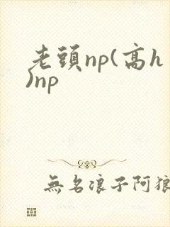 老头np(高h)np