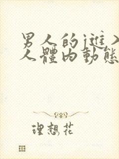 男人的j进入女人体内动态图