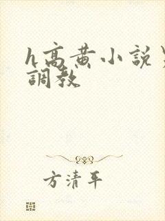 h高黄小说男男调教