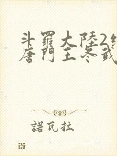 斗罗大陆2绝世唐门王冬武魂