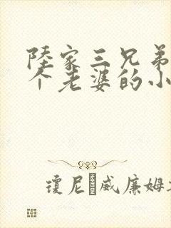 陆家三兄弟共一个老婆的小说