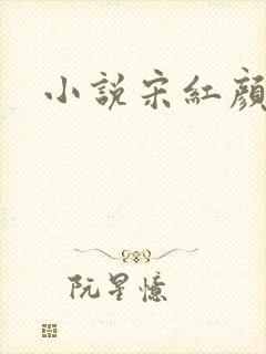 小说宋红颜叶凡