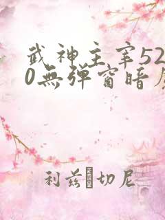 武神主宰5200无弹窗暗魔师