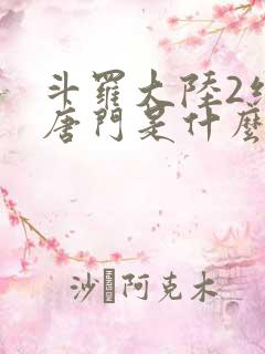 斗罗大陆2绝世唐门是什么