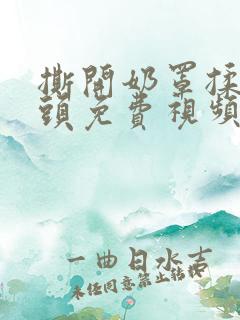 撕开奶罩揉吮奶头免费视频