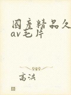 国产精品久久久av毛片