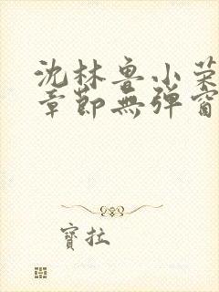 沈林鲁小荣最新章节无弹窗笔趣阁