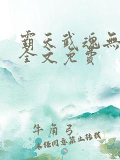 霸天武魂无弹窗全文免费