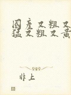 国产又粗又爽又猛又粗又黄的视频