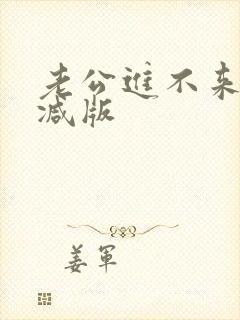 老公进不来未删减版