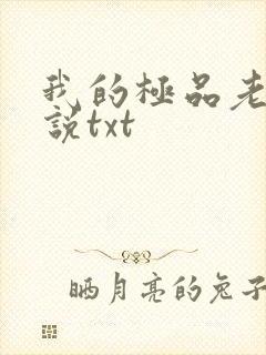 我的极品老婆小说txt