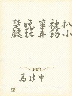 楚晚宁被扒开双腿玩弄的小说