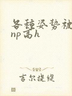 各种姿势被学长np高h