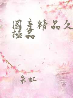 国产精品久久久极品