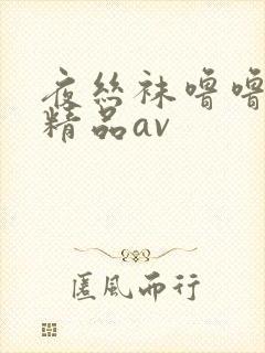 夜丝袜噜噜亚洲精品av