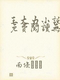 王大力小说小说免费阅读无弹窗