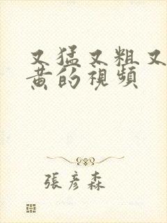 又猛又粗又爽又黄的视频