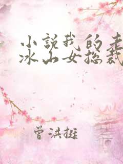 小说我的老婆是冰山女总裁