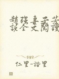 赵强妻子芳姨小说全文阅读