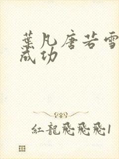 叶凡唐若雪一起成功