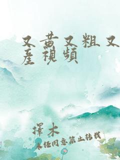 又黄又粗又爽国产视频