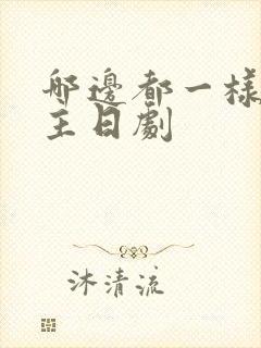 哪边都一样双男主日剧