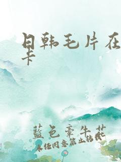 日韩毛片在线不卡