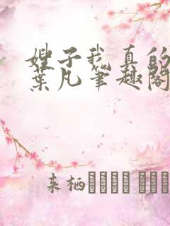 嫂子我真的不傻叶凡笔趣阁小说