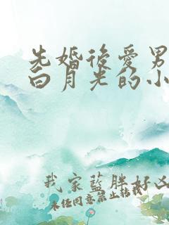 先婚后爱男主有白月光的小说